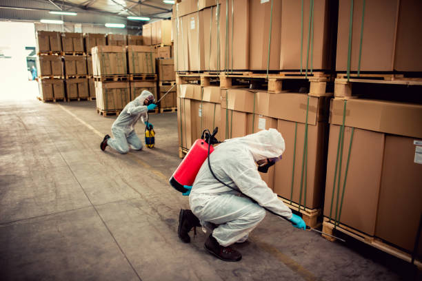 Best Termite Control Services  in South Temple, PA
