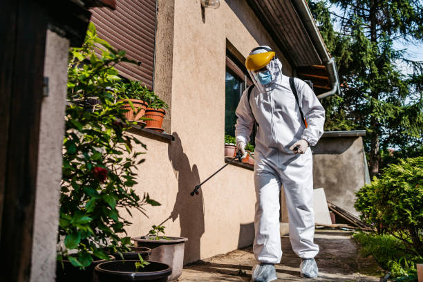 Best Pest Prevention Services  in South Temple, PA