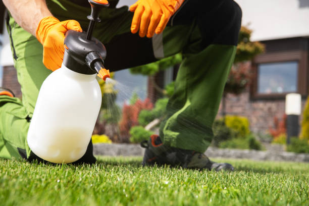 Best Pest Prevention Services  in South Temple, PA