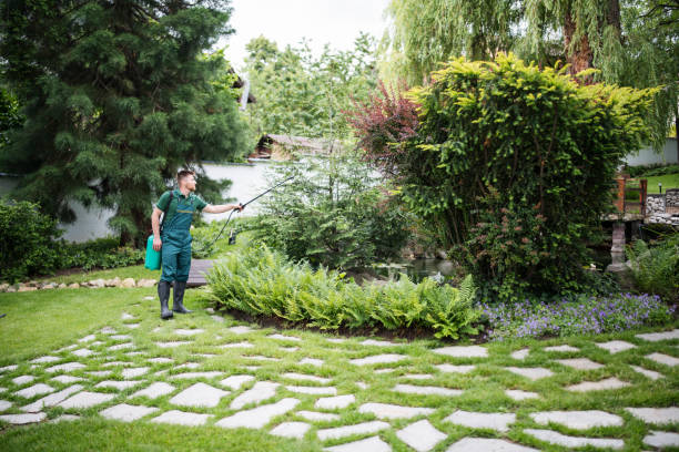Best Local Pest Control Services  in South Temple, PA
