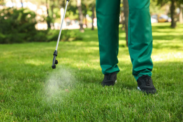Best Residential Pest Control  in South Temple, PA