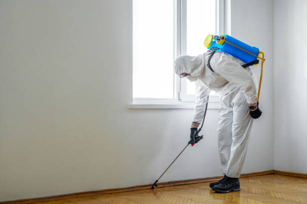 Best Exterminator Services  in South Temple, PA