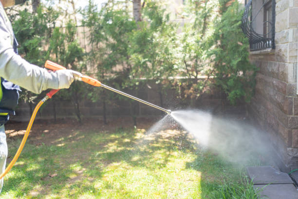 Best Wasp Removal Services  in South Temple, PA