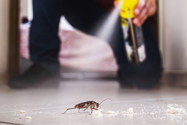 Best Best Pest Control Companies  in South Temple, PA