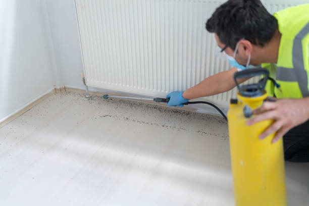 Best Affordable Pest Control Services  in South Temple, PA